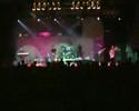 Dire Straits - Sultans of Swing (performed by LadyBugs)
