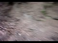 Lanser Freeride