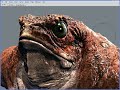 Mudbox 2009 New rendering features Mudbox 2009 New rendering features
