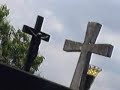 The Son Will Not Return