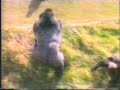 Small boy falls into the zoo\