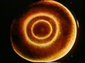 ants,mice and alligators v cymatics