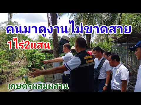 คนมาดูงานไม่ขาดสาย 1ไร่2แสนเกษตรผสมผสานครบวงจรจบที่เดียวคุณลุงสุชล สุขเกษม