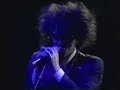 THE CURE - PIGGY IN THE MIRROR