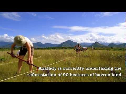 See video