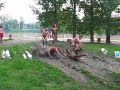 komuna ?limsalto, IJS 2006