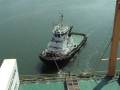 Le Havre02 pilot boat, bateau-pilote