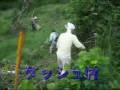 ダッシュ村