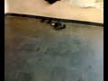 26092009008.mp4
