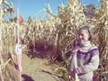 starting corn maze oct. 25th, 2008.mov