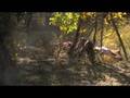 Peasant's Crusade 2008 Part 1 Version