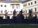 XTD-War Pigs