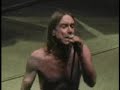 The Stooges - TV Eye