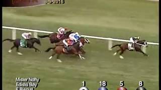 Mister Nofty Allowance Win Aug 9 2016 1 mile turf 5 lgths Paco Lopez