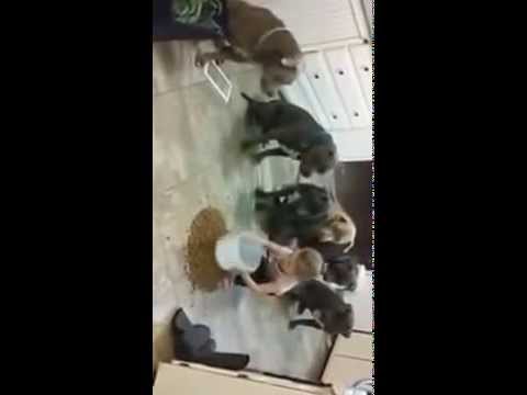 how to control your 2 yr old