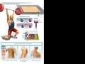ML infografica