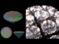 Diamond Modelling [HD] : 牛山雅博