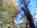 Walking Trail in Chattanooga