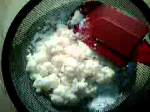 Kefir Grains(BULGAROS) De Leche De Cabra