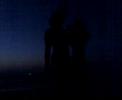 jumeira beach