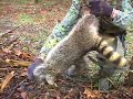 Problem Coyote Part 7