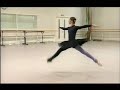 Alina-Cojocaru-in-re