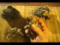 NINJA materials (Authentic 忍者-間者)