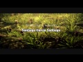 www.youtube.com 19entrega de una serie de analisis retro de juegos de nintendo nes. analisis retro del juego de nes boulder dash, esta serie es un homenaje a la nintendo nes y sus rarezas. la melod�a del video pertenece al desaparecido grupo 