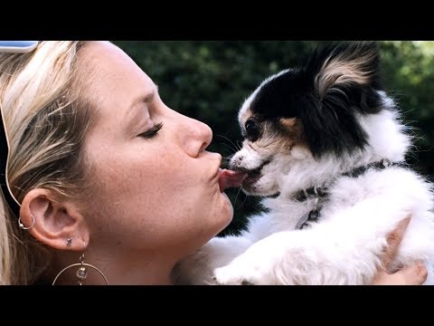 I Kissed A Dog and I Liked It!