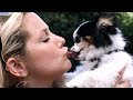 I KISSED A DOG: A Youtube Mashup Video (Katy Perry Parody)