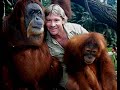 steve-irwin-tribute.html