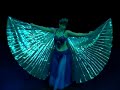 Voorronde Danstheater Rosa Ventorum