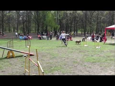 Ильина-ГПА-1.05.12.mp4