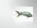 Money Origami | Orikane The Art Of Dollar Bill Origami