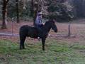 Re: Horsemanship (swing up)