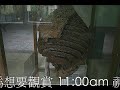 這一段生態之旅的影片, 是老公和我與幾位親友, 在 16/June/2008 到台北縣烏來鄉福山植物園去玩的記錄.  能夠在一個沒有下雨的日子裡出遊, 又有綠色的植物林園可以看, 我真的是, 很 