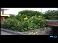 Parque de Gualan (por Cablevision Robles)