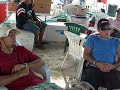 Pegaera en Norceca