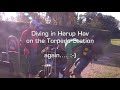 Diving the Torpedo Station in Hørup Denmark part 3 - Sound by Pulser
