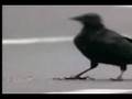 videos de Going Beyond   - by unASLEEP