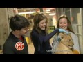 Skandar Keynes and Georgie Henley at the Smithsonian Zoo