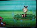 Shiny Sentret (1 of 4) pokeradar chain 40 pokemon diamond