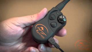 best times to feed your cat