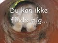 Hjertelunds Flekka