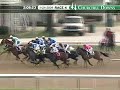 CHURCHILL DOWNS, 2009-11-24, Race 4