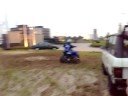 banshee beest