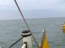 saraceni bellaria
