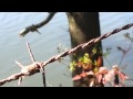 Samsung Galaxy S III Zoom Video test