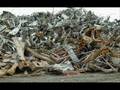 videos de 9/11 Memorial