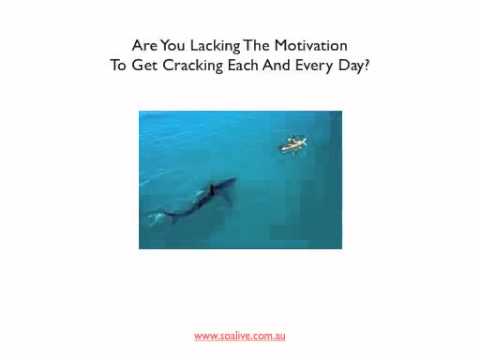 how to boost team morale